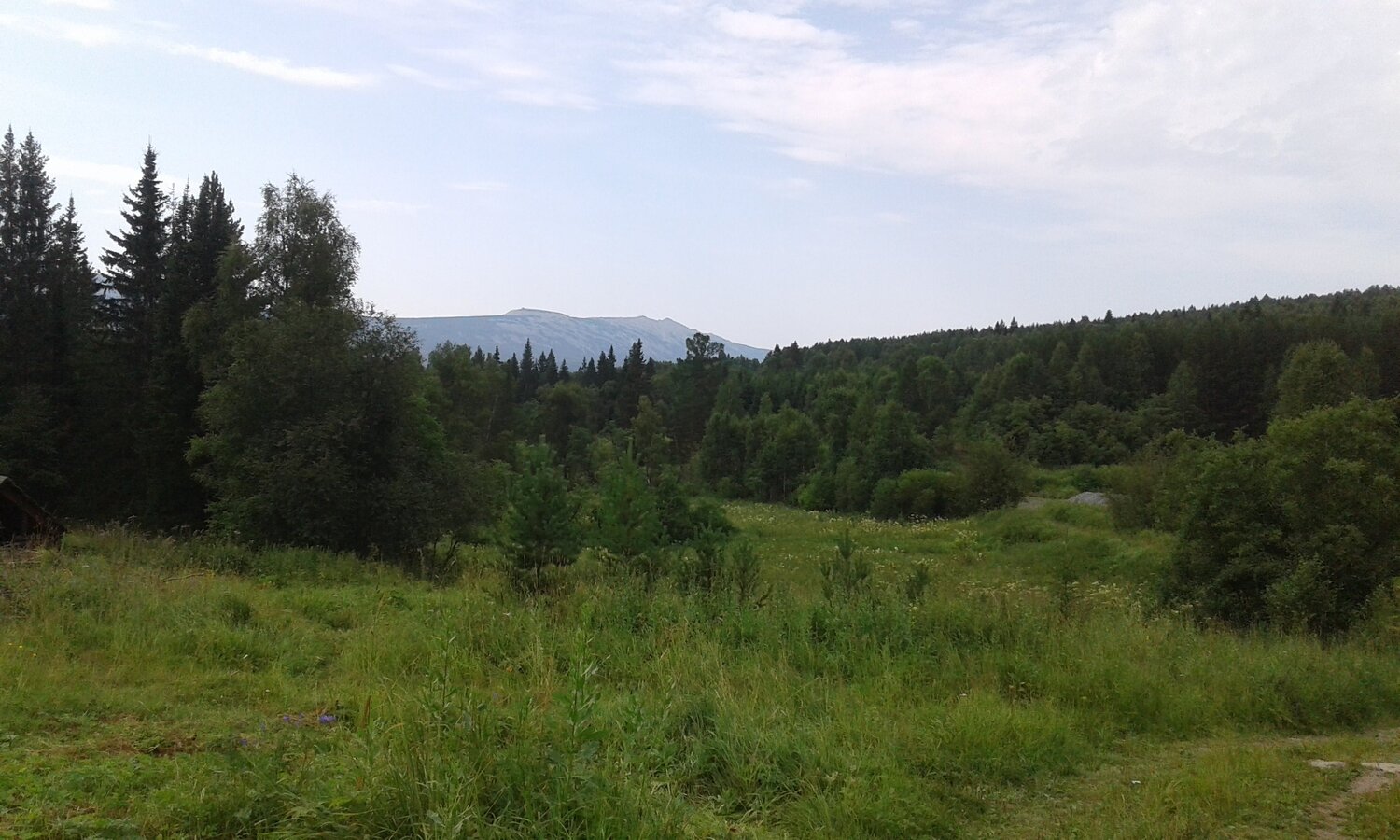 Photo #3559107