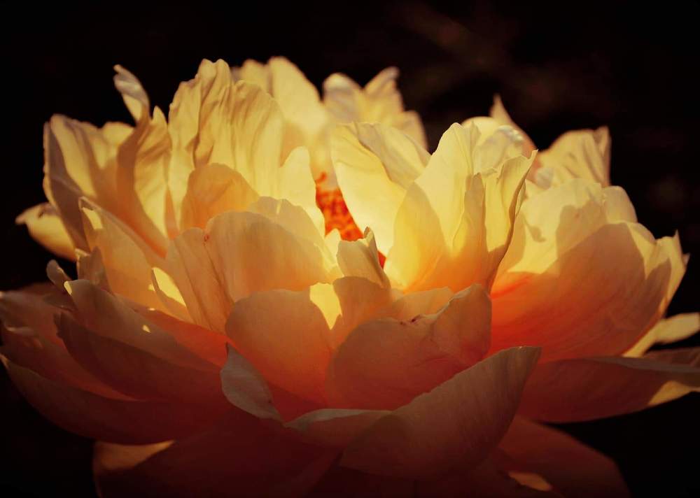Photograph by Kseniia Pishchinskaia