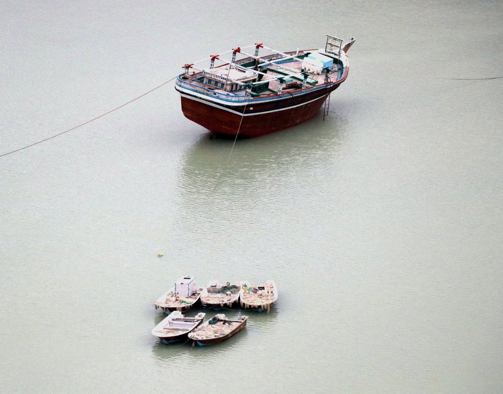 Photograph by  Hamed