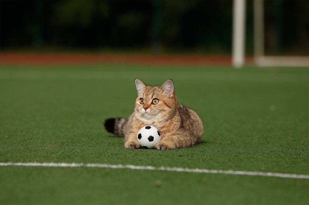 Photograph by Elena Guseva