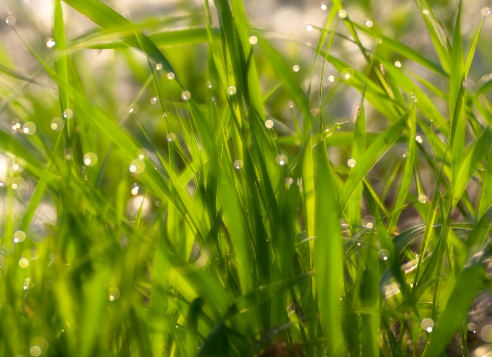 Photograph by Александр Орнатский