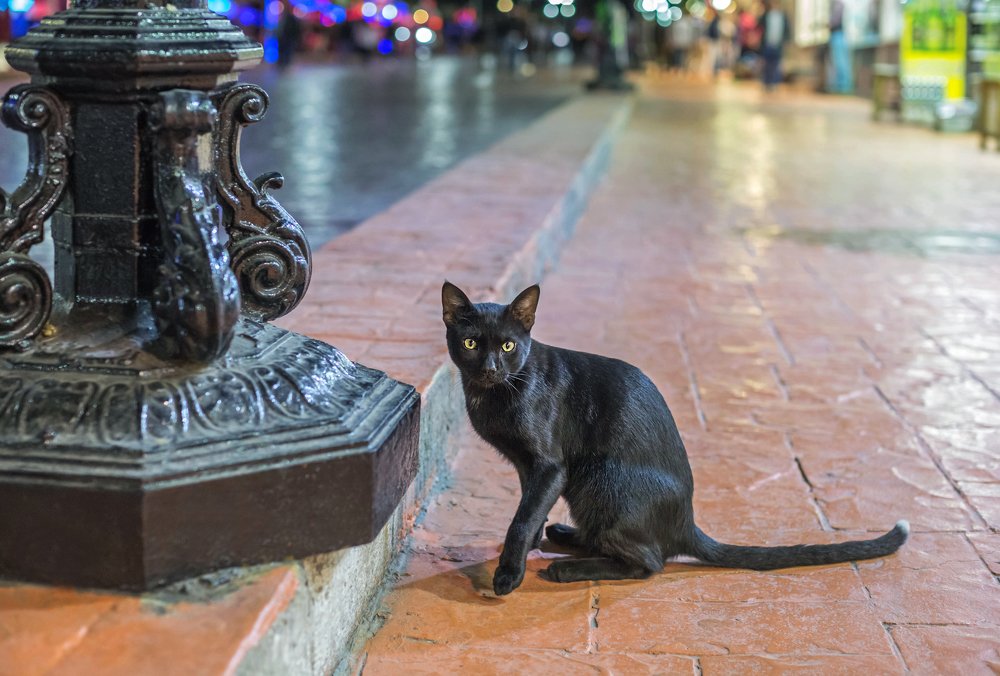 Photograph by Марат Рысбеков