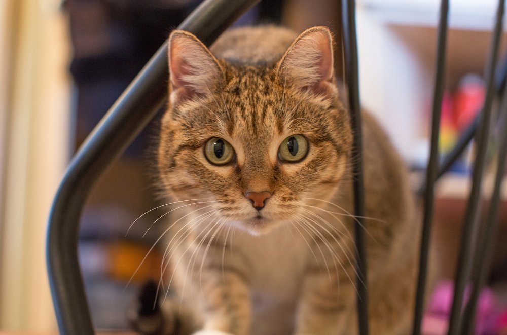 Photograph by Марат Рысбеков