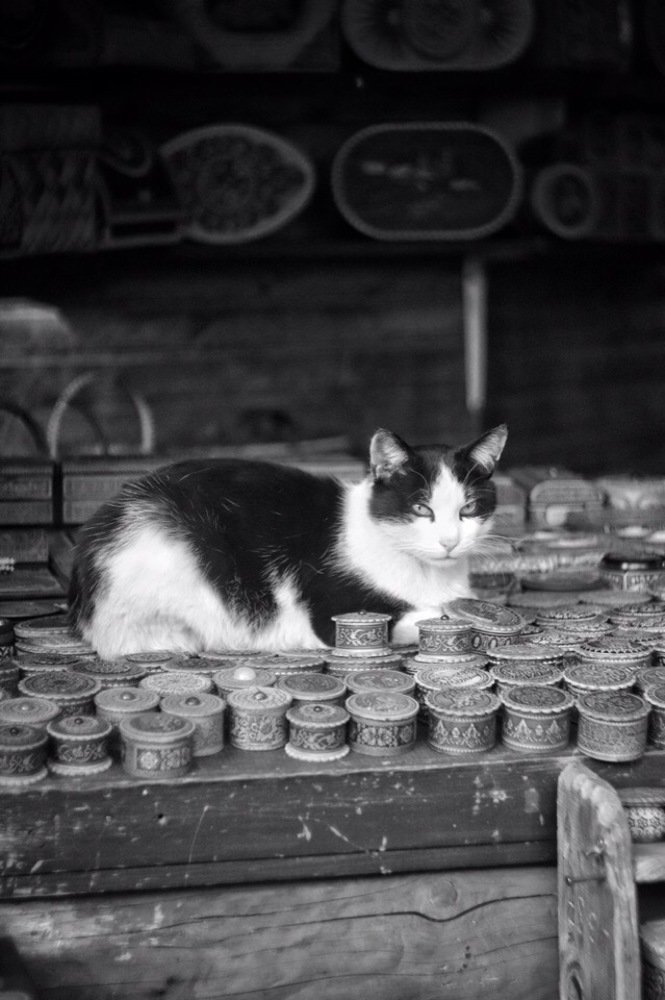 Photograph by Анастасия Оленченко