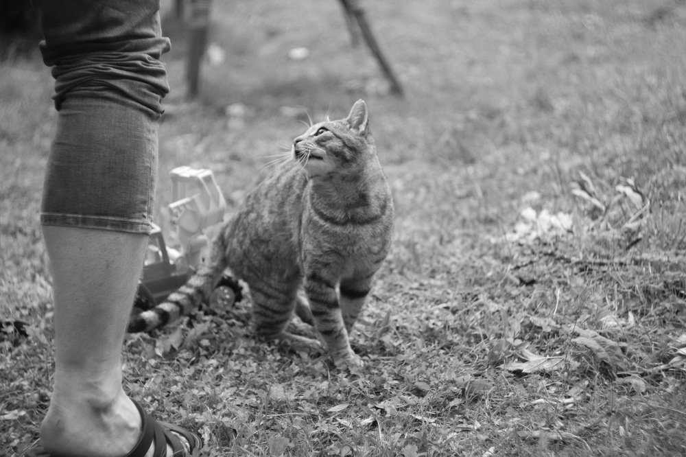 Photograph by Анастасия Оленченко