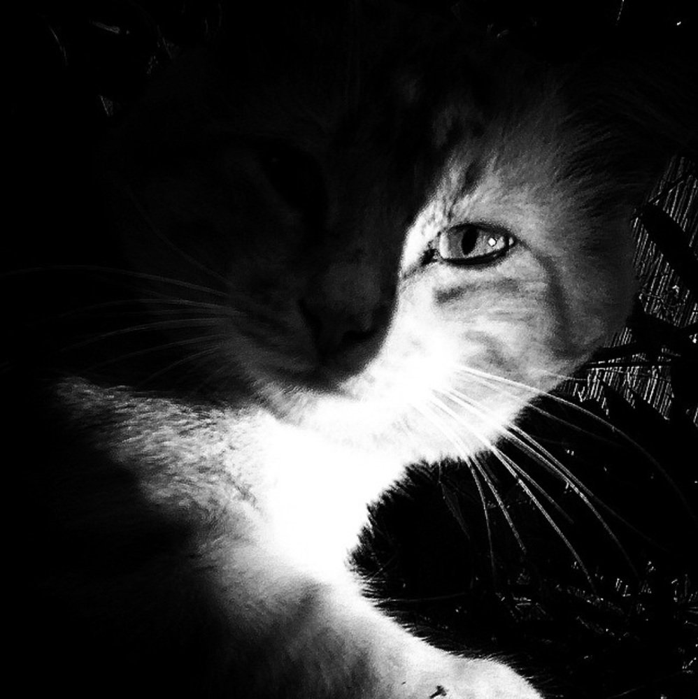 Photograph by Zzooouhh