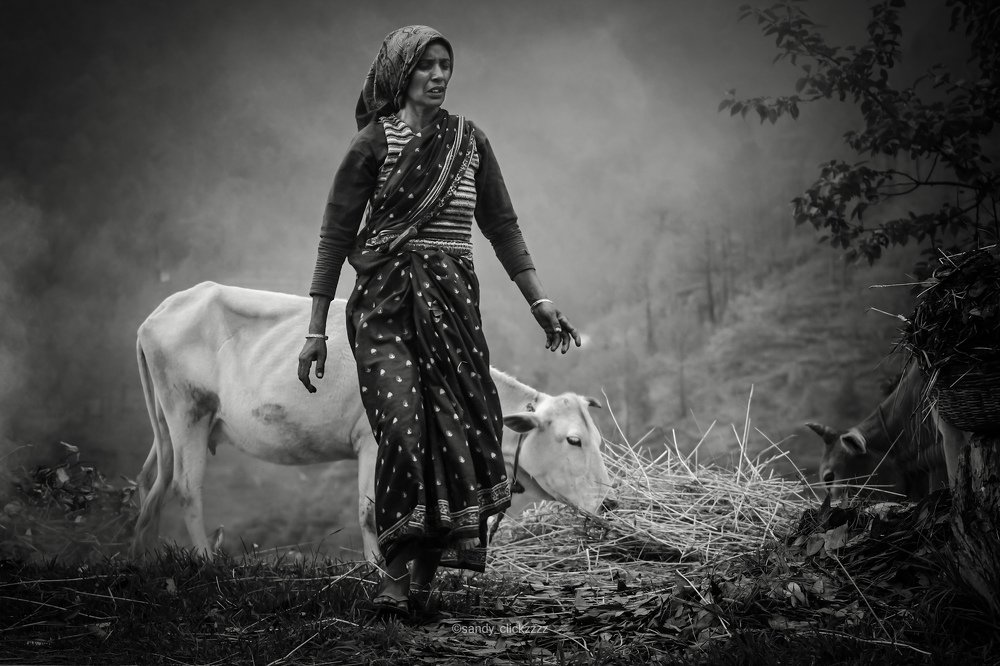 Фотография автора sandeep patel