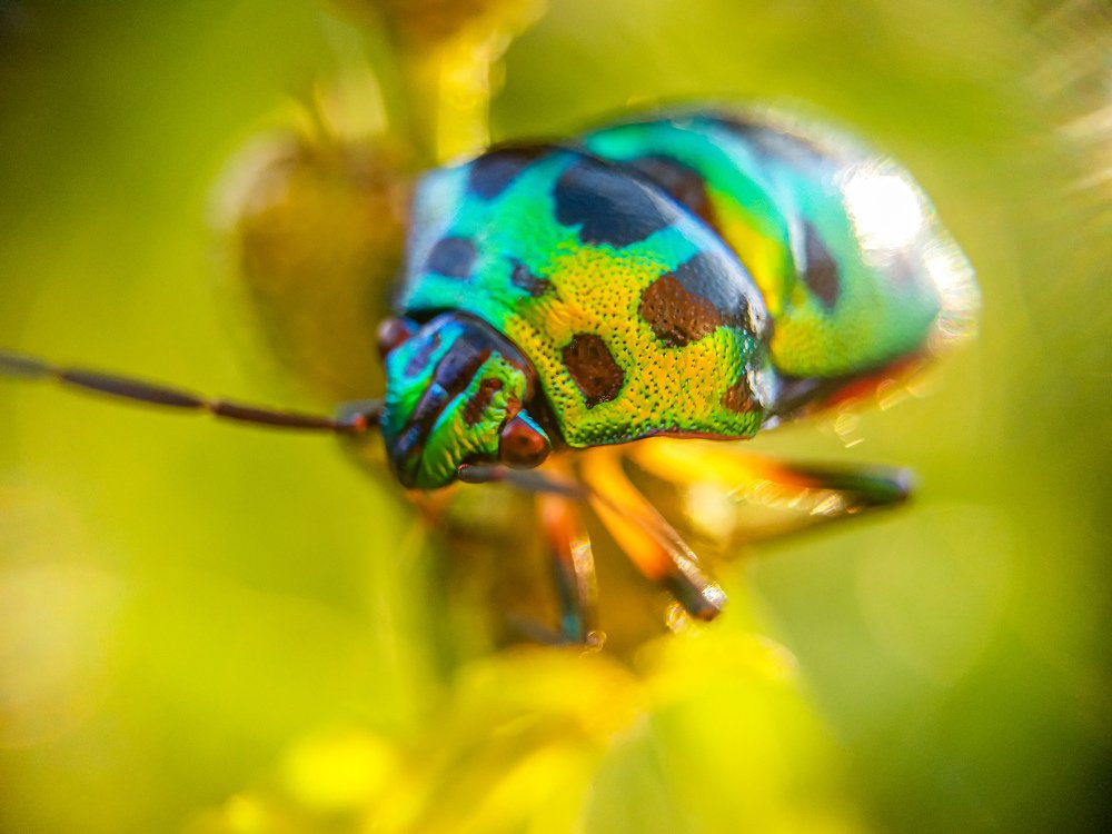Photograph by Aniket Pal