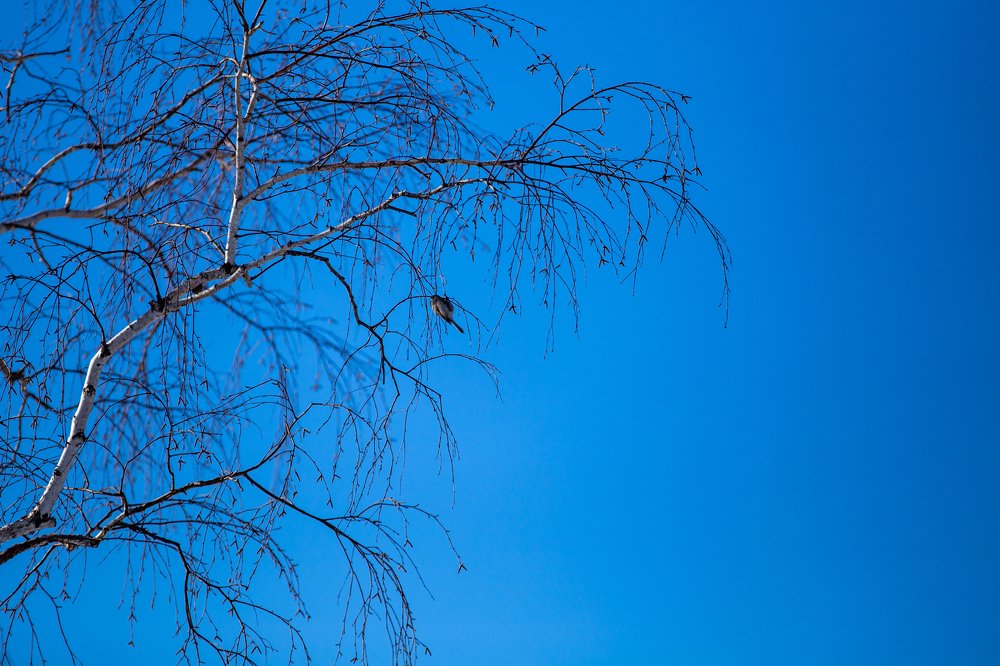 Photograph by Евгения ГЕССЕН