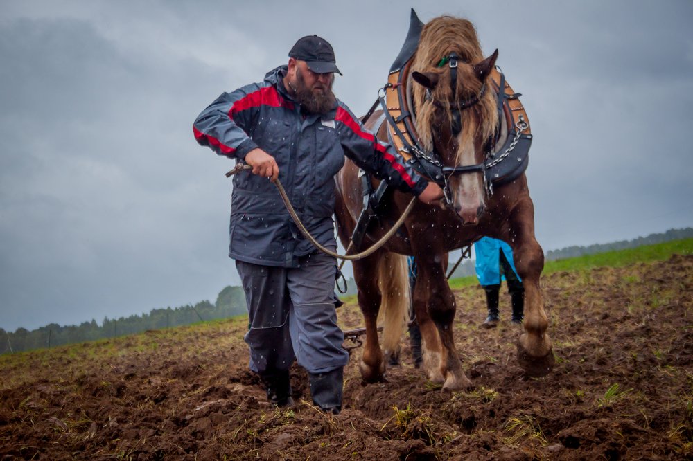 Работа на пашне