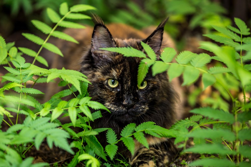 Photograph by Евгения ГЕССЕН