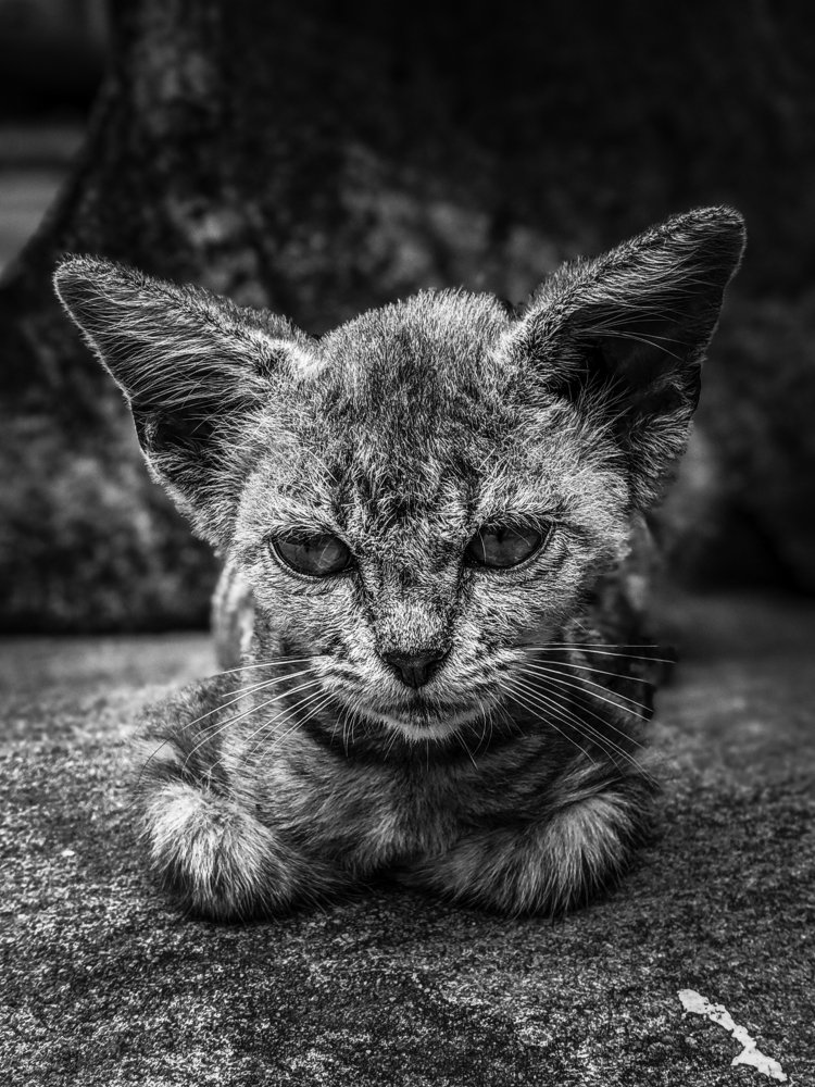 Photograph by TYM XS