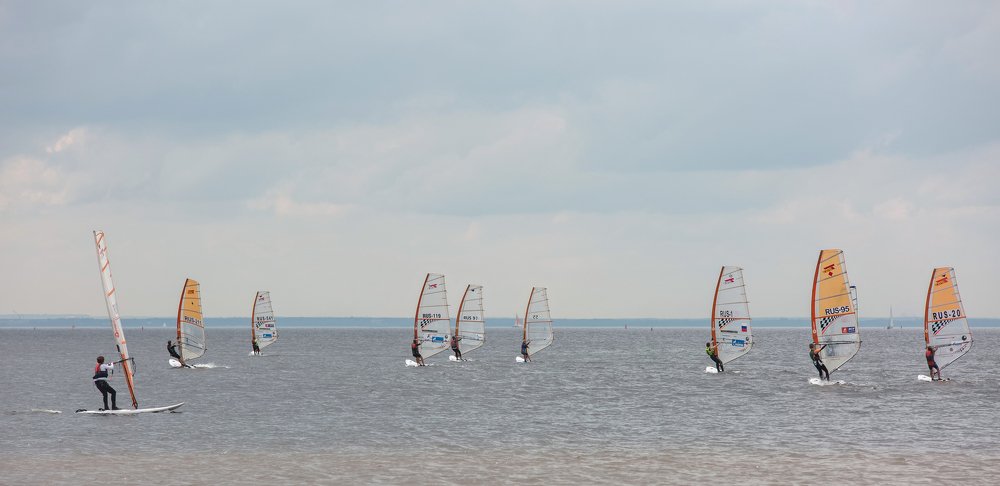 Бабочки на ветру