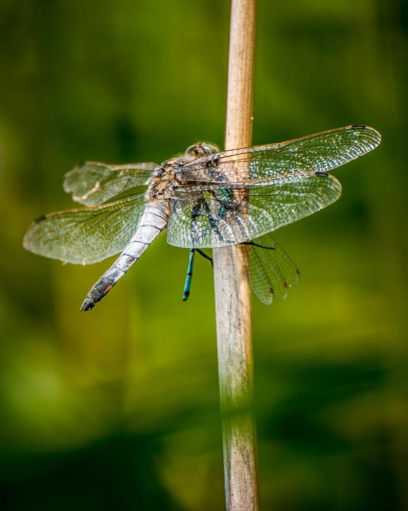 Photograph by Marcin Sokolowski - maarew