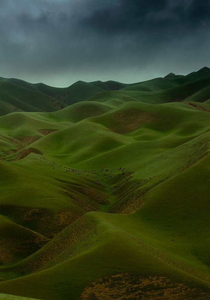 Photograph by Ali mohammad Hoseinzadeh