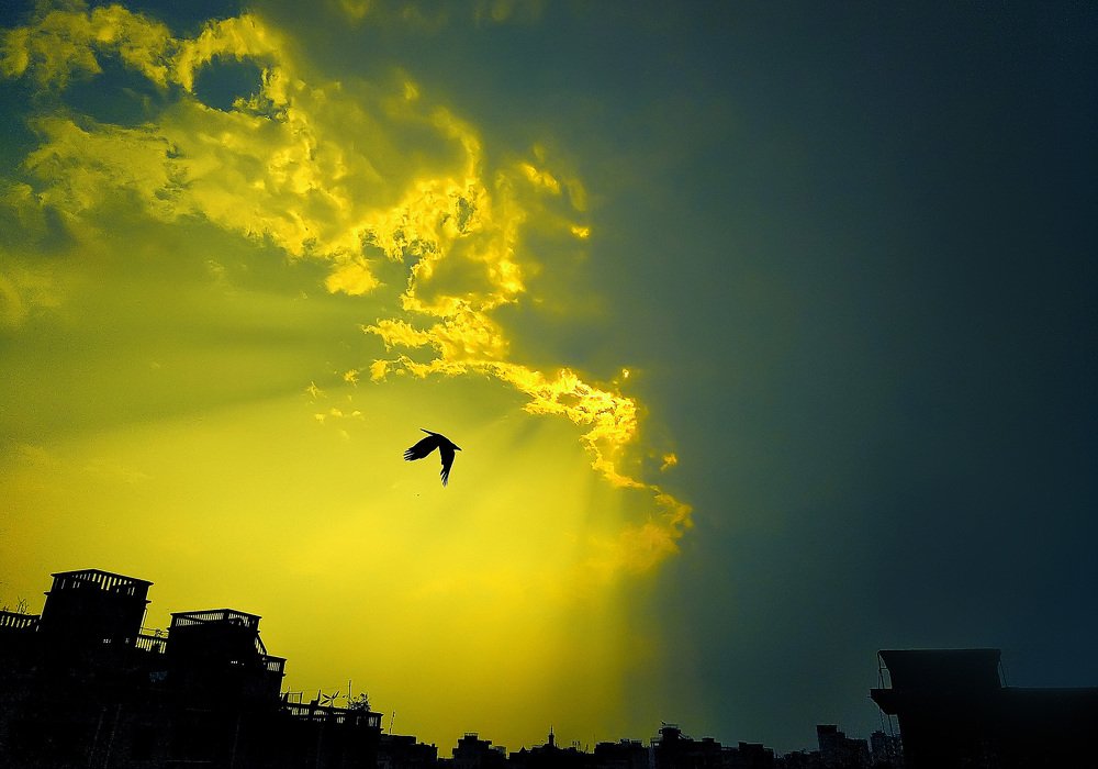 Photograph by Abu Bakar Siddik Hridoy