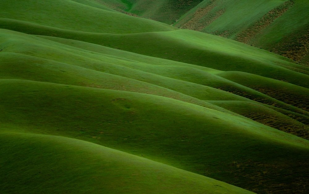 Photograph by Ali mohammad Hoseinzadeh