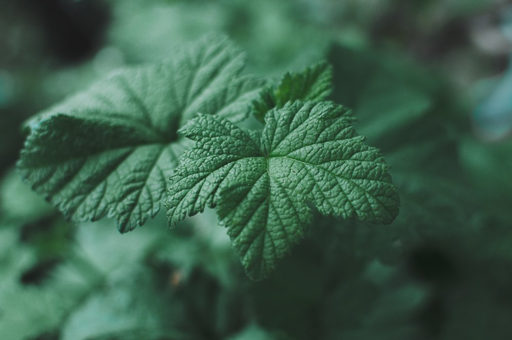 Photograph by Оксана Артемьева