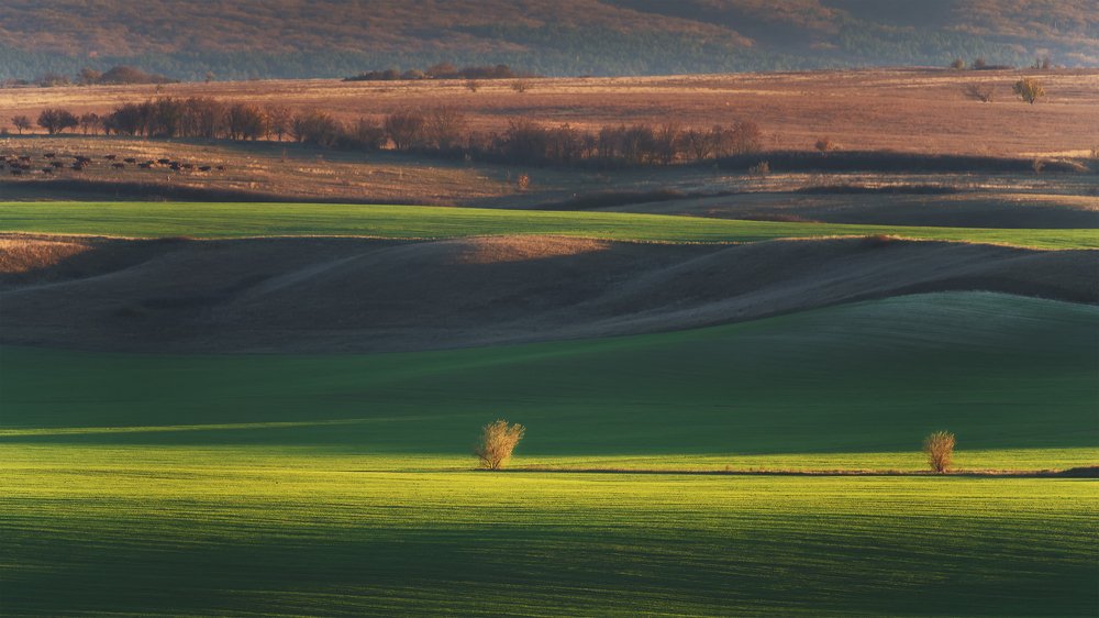 Photograph by Oleg Feofanov