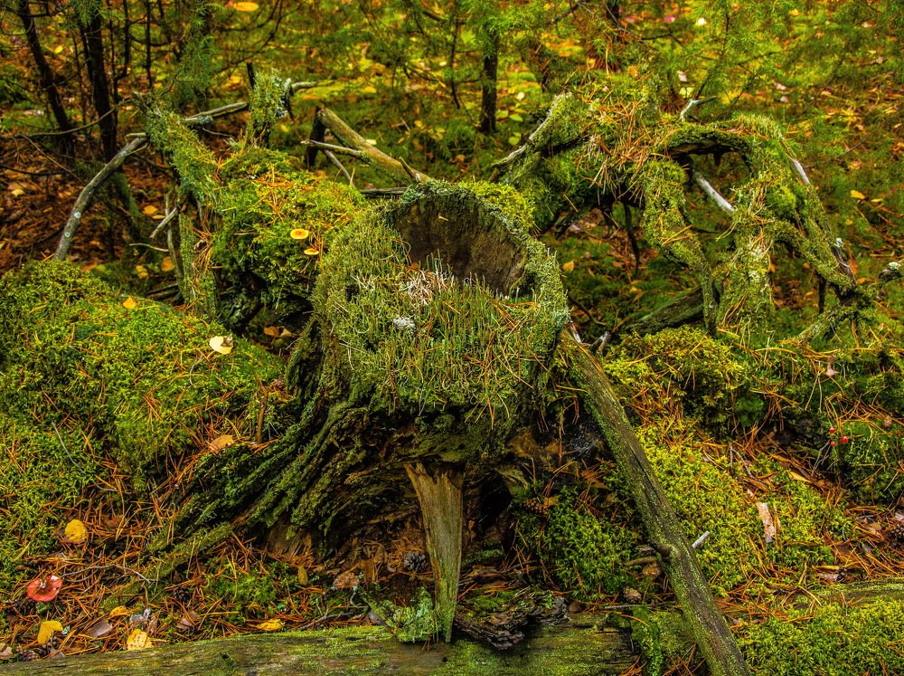 Photograph by Александр Халимов