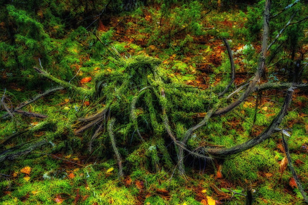 Photograph by Александр Халимов