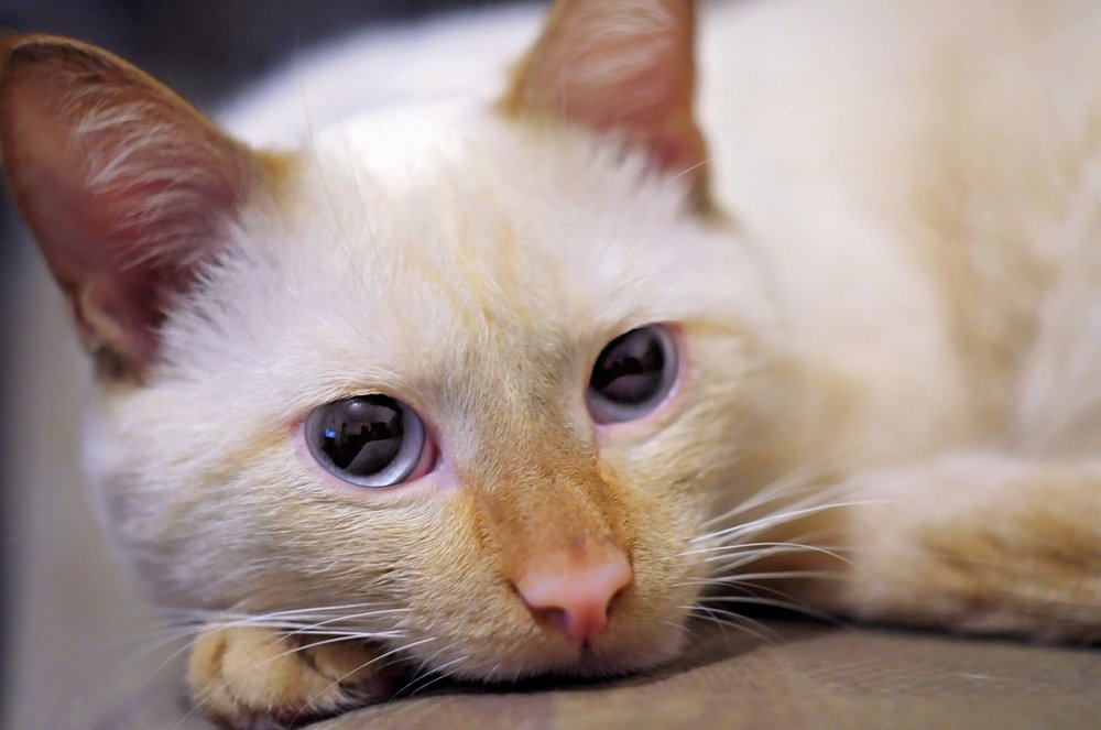 Photograph by Фёдорова Наталья