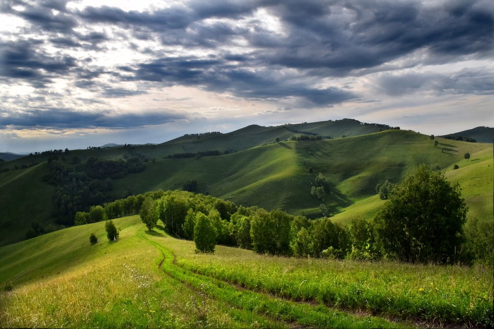 Photograph by Светлана Крат