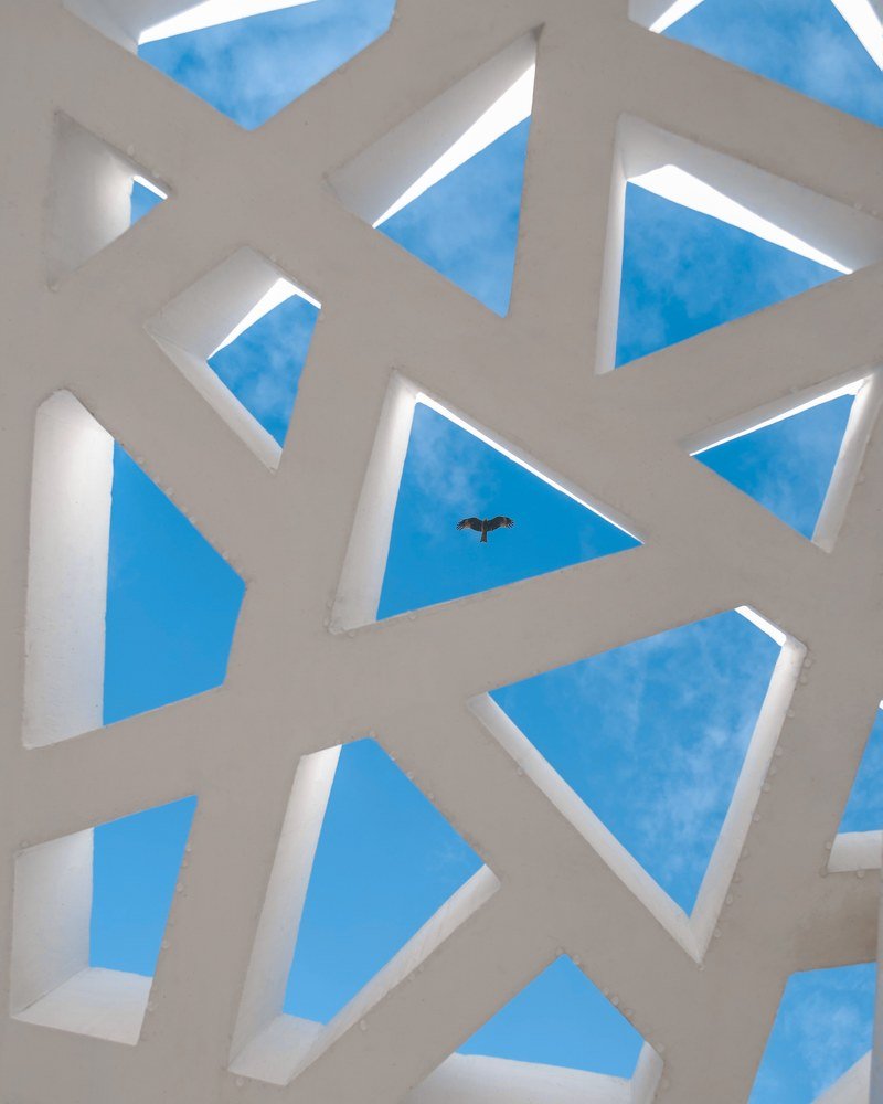 Photograph by Максим Белоус