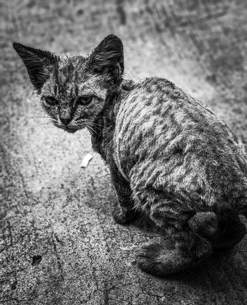 Photograph by TYM XS