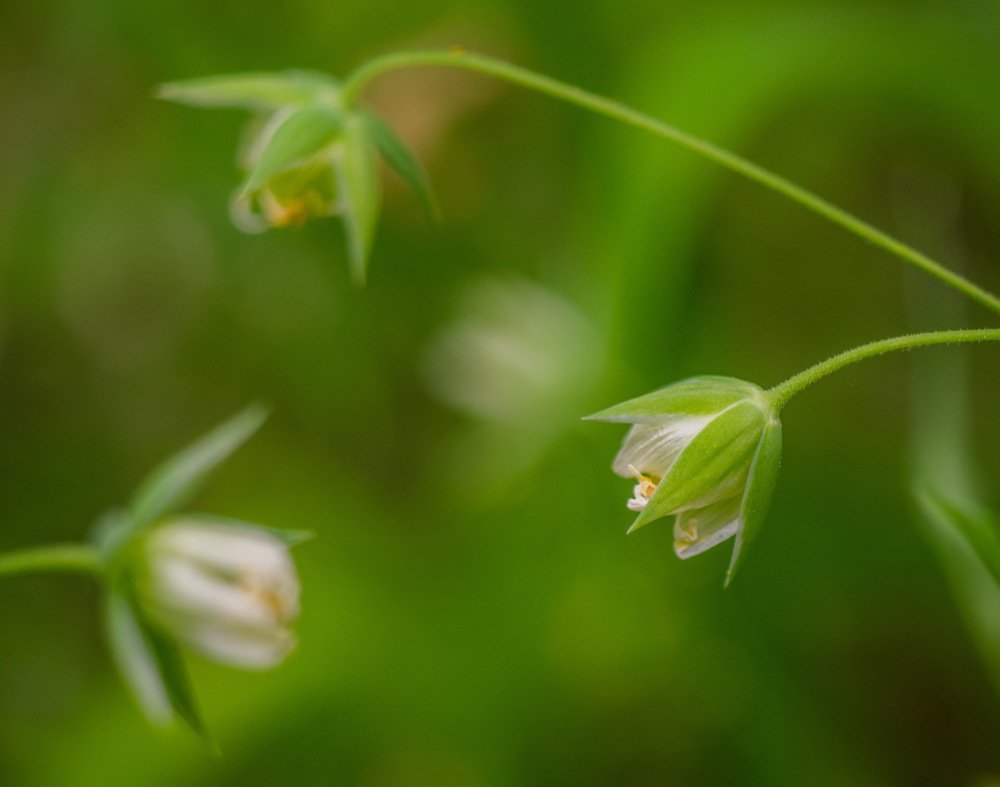 Photograph by Александр Халимов