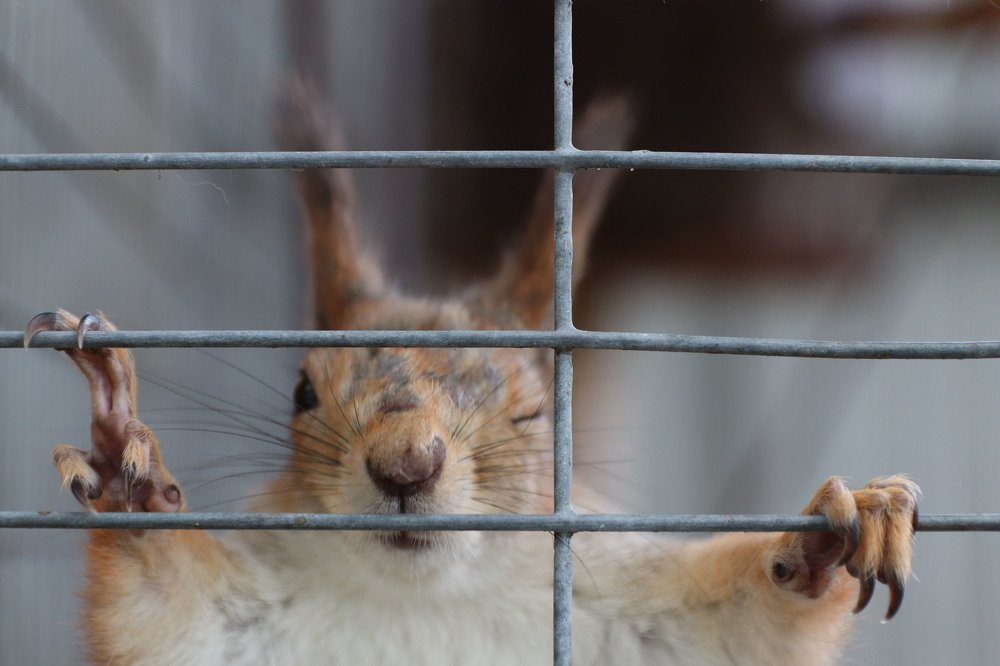 Photograph by Римма Якубова