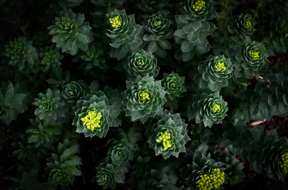 Photograph by Сергей Глухарев