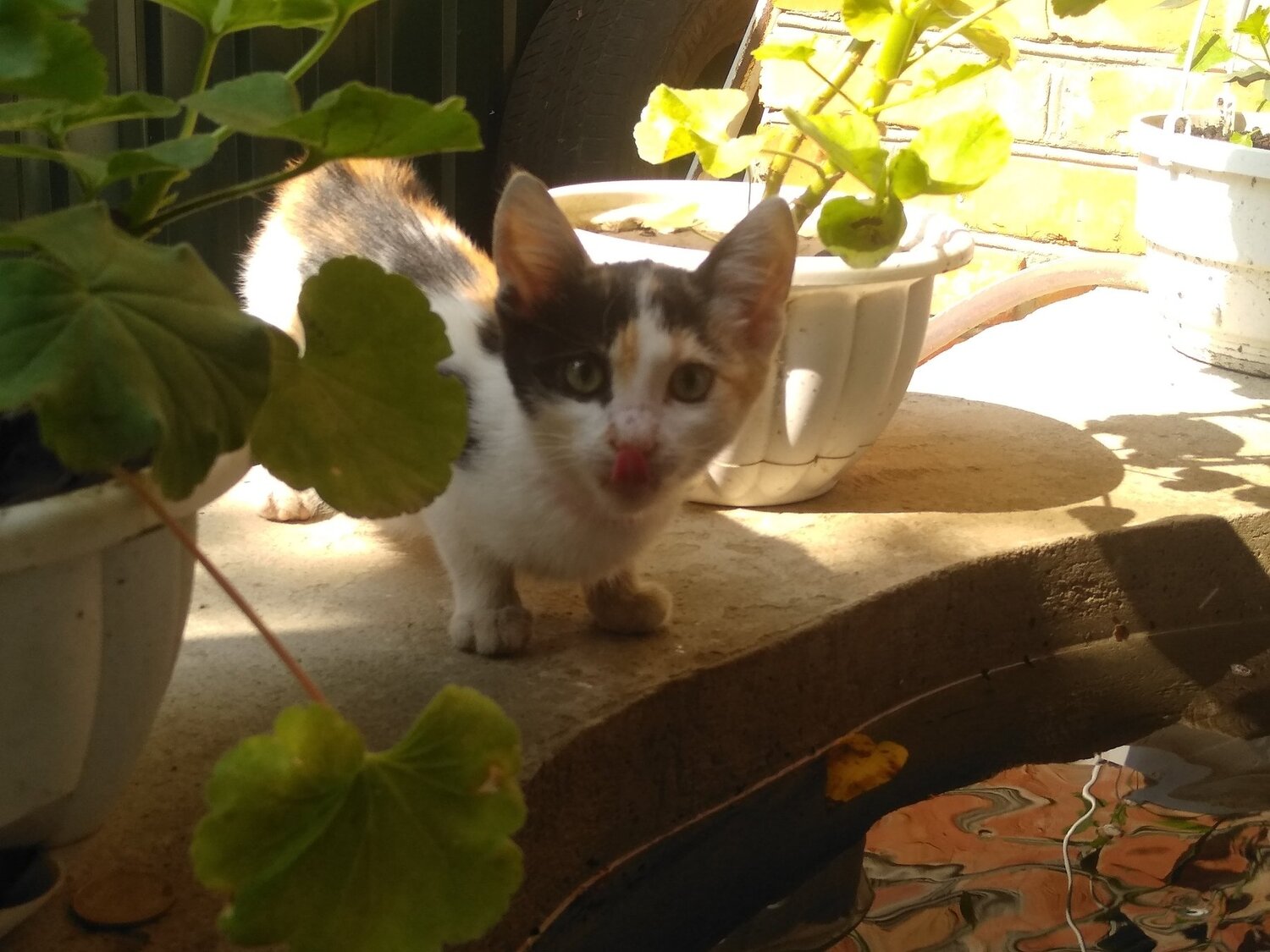 Photo #3559672