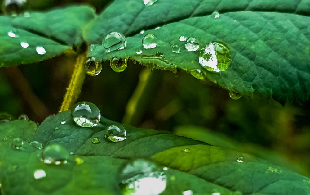 Photograph by mikhail goryachev