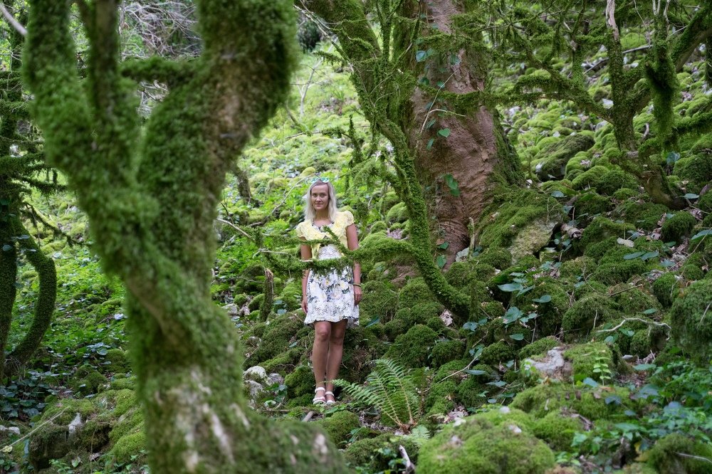 Фотография автора Марина Верина