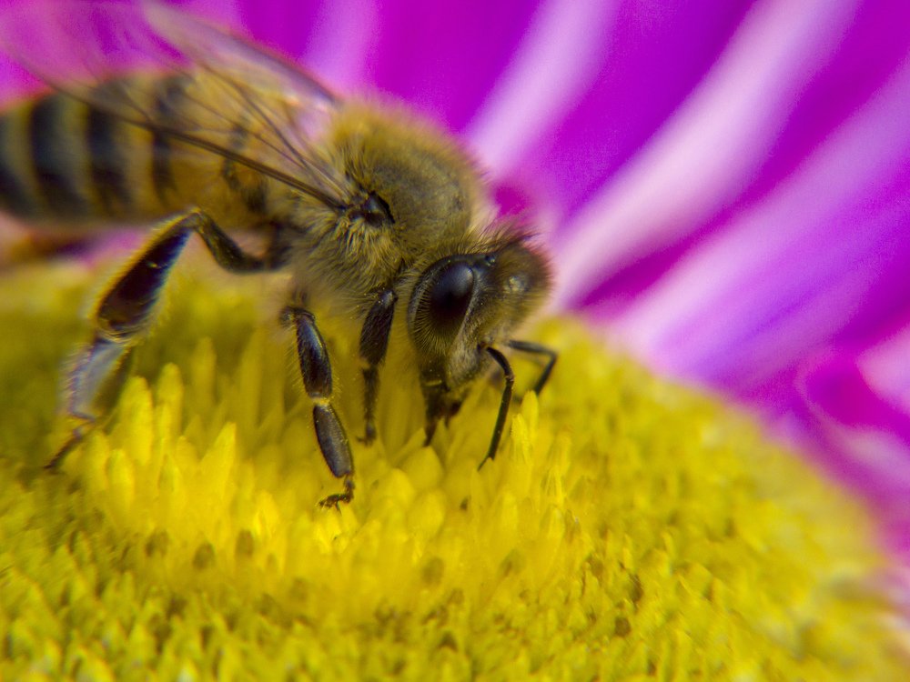 Photograph by Иван Доможирский