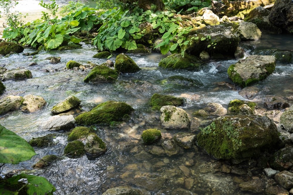 Фотография автора Марина Верина