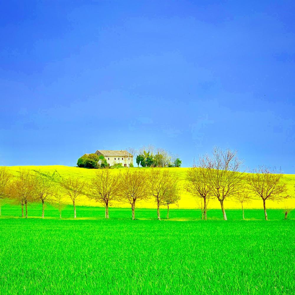 Photograph by Марина Неберекутина