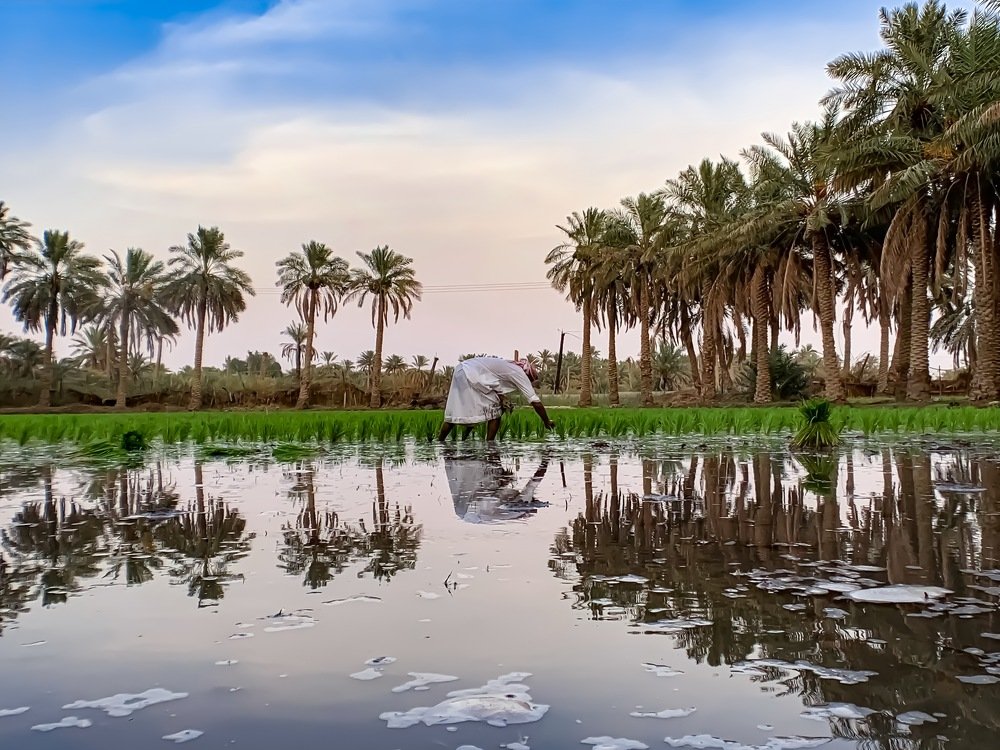 Photograph by Yahya Al Muabid