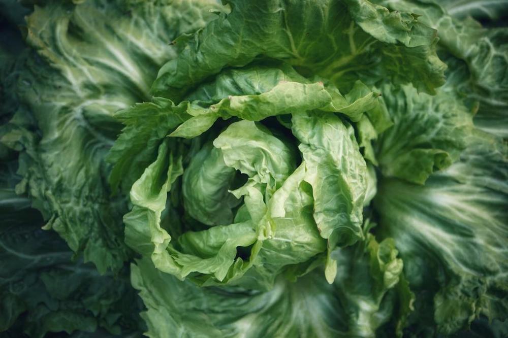 Photograph by Марина Неберекутина