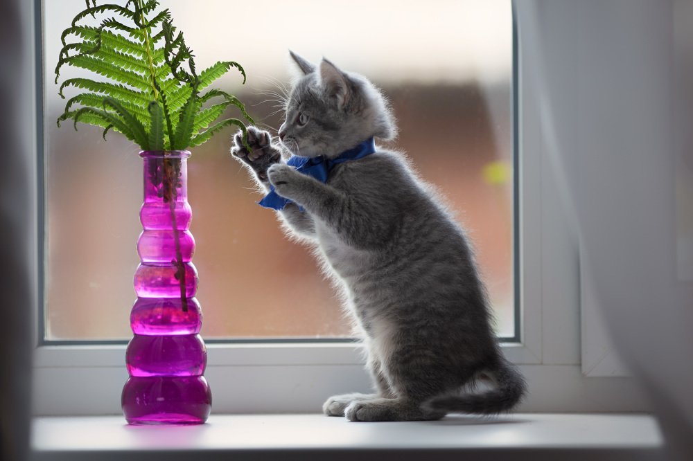 Photograph by Александр Шульга