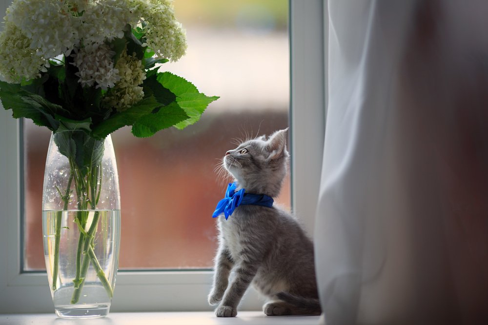 Photograph by Александр Шульга