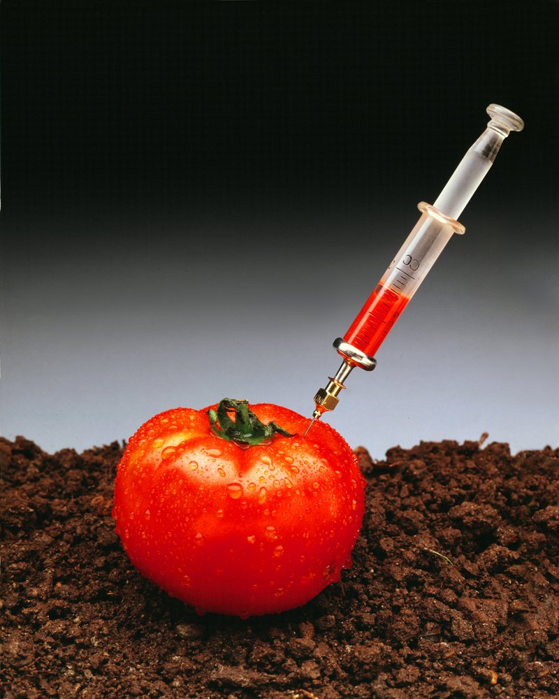 Photograph by Riccardo Moretti