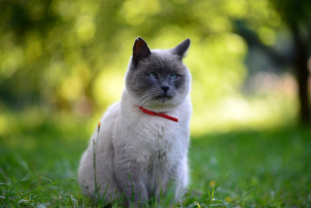 Photograph by Александр Шульга