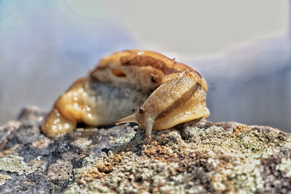 Photograph by  Abolfazl Mokhtari Hassan Abad