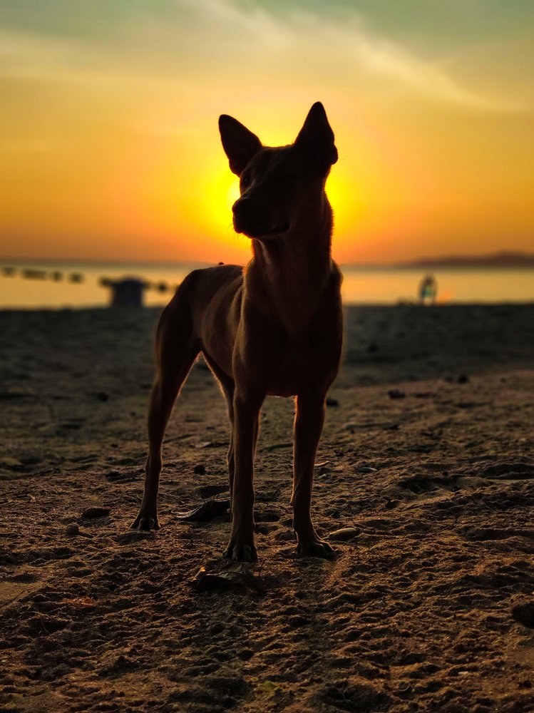 Photograph by TYM XS