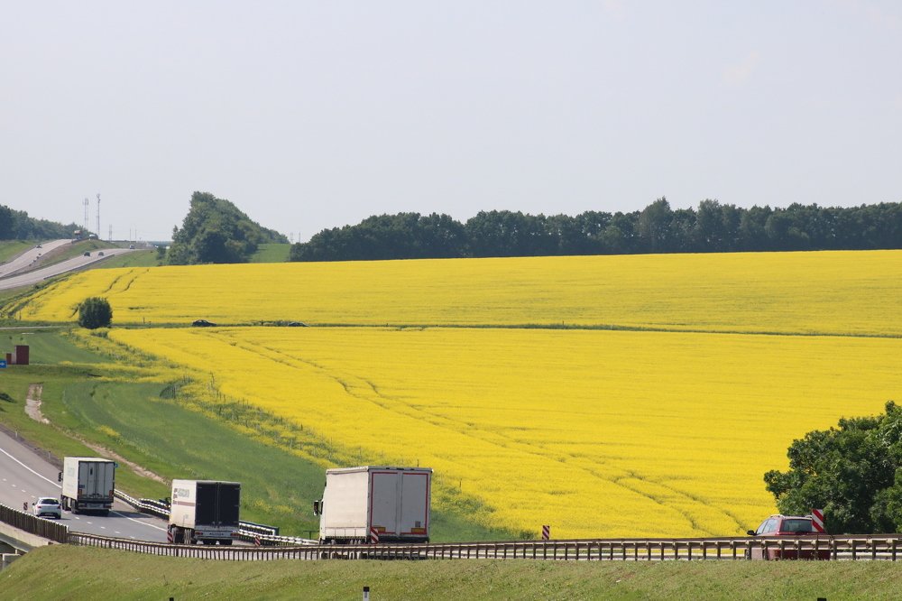 Photograph by Николай