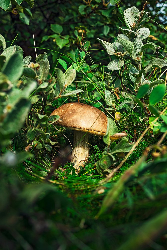 Photograph by Владимир Эделев