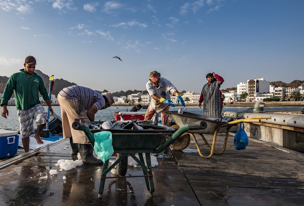 Фотография автора Pradipta Chakraborty