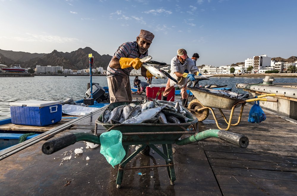 Фотография автора Pradipta Chakraborty
